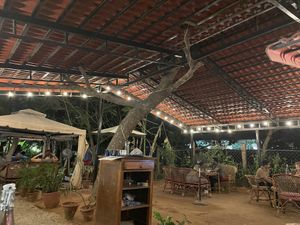 Some of the seating  at Hope Cafe in Auroville
