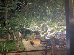 Nighttime vibes  at Hope Cafe in Auroville