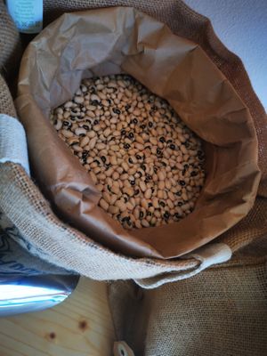  at Mercearia Avulso in Vila Nova De Milfontes