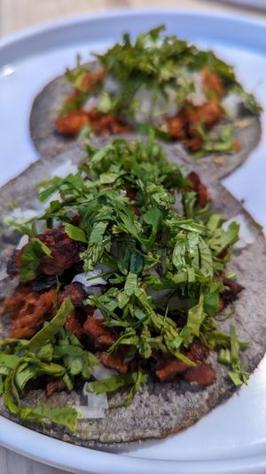  at The Forward Thinking Eatery in San Jose Del Cabo