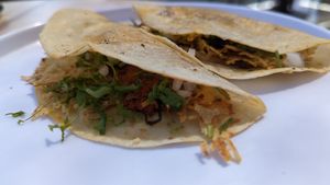  at The Forward Thinking Eatery in San Jose Del Cabo