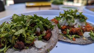  at The Forward Thinking Eatery in San Jose Del Cabo