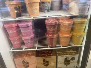 Ice-creams for sale  at Van Leeuwen Ice Cream - Upper East Side in New York City