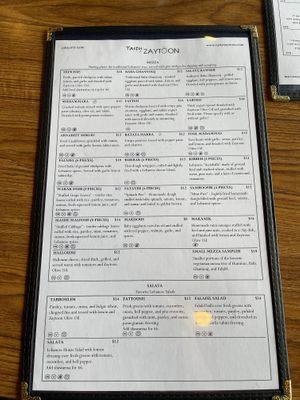  #Veganuary at Tasty Zaytoon in Exton