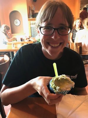 Vegan gelato! at Falafels in Bloomington