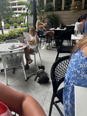 Dog friendly dining    at Moxies in Fort Lauderdale