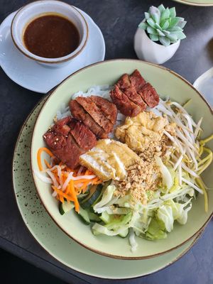 Pho Tron at Vinavegana in Vienna