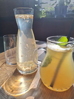  at Vinavegana in Vienna