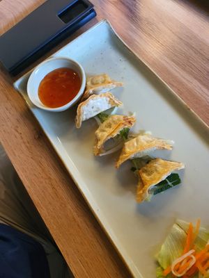  at Vinavegana in Vienna