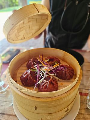 vegan momos at Momo Hut in Briancon