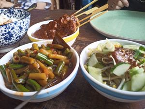 Sateh, gado gado and delicious beans at De Javaan in Oudeschans