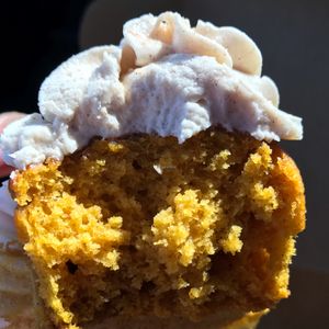 moist Pumpkin cupcake  at Treehouse Bakery in Phoenix