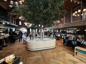 Stunning interior, particularly for a vegan restaurant.  at Twelvemonth in Burlingame