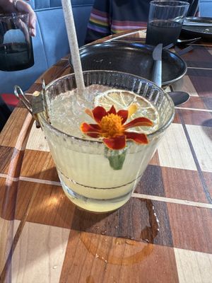   at Twelvemonth in Burlingame