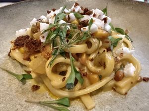 SCIALATIELLI  at Twelvemonth in Burlingame