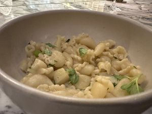   at Twelvemonth in Burlingame