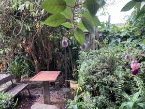 Garden  at Axul Cafe in Concepcion De Ataco