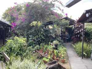 Garden seating  at Axul Cafe in Concepcion De Ataco