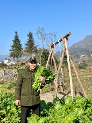 Step outside, and you'll find a beautiful garden with breathtaking views of rolling hills and endless rice fields. We serve fresh vegetables that the owner plants himself! at Toàn Mán Restaurant  in Ta Van