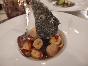 Salada de polvo at Remédio Santo - Baixa in Porto