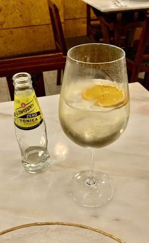 Extra dry white port wine mixed with tonic water  at Remédio Santo - Baixa in Porto