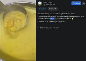 Vegan Kabocha curry: roasted squash, cooked with local Olena, curry and coconut milk. at Kōkeʻe Lodge in Waimea