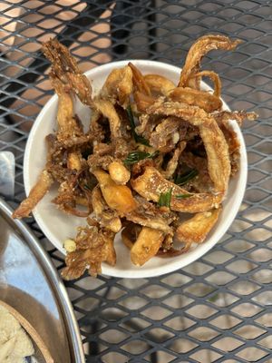 Yansu mushrooms  at MAZU in Yellow Springs