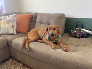   at CoCre Cafe in Augusta