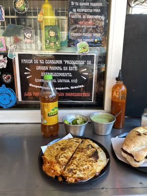   at Pez Vegano in Mexico City