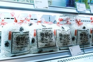 Koji at Kojiya Motomiya Misochaya - SHIMONO528 in Hachimantai