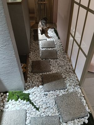  at Cafe Chairo in Tokyo