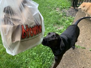 Delivery an option during pandemic times at Burma Garden in Bloomington