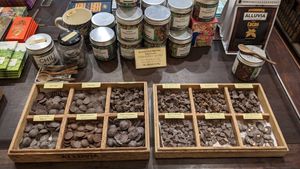 Vegan chocolate samples at Alluvia Chocolate Hoi An in Hoi An