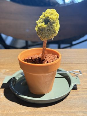 This creative matcha pound cake tree with raspberry mousse and cocoa below  at Sai-Cafe in Himeji