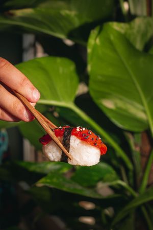 Niguiri de sandia asada at Baobab Soul Kitchen & Bar in Alicante