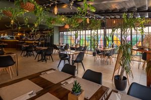  at Baobab Soul Kitchen & Bar in Alicante