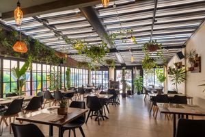  at Baobab Soul Kitchen & Bar in Alicante