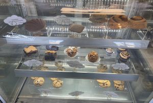 display case   at Elevated Coffee & Confections in Lemon Grove