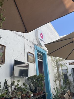 Outside, in the pretty courtyard surrounded by plants and paintings😄 at Monaladona in Guadalajara