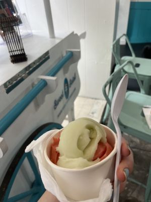 strawberry and cucumber sorbet  at Sweet Saint in New Orleans