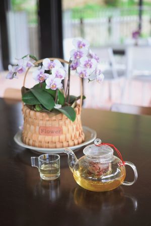 A range of tea available at Ethos Forest 有声林 in Bentong