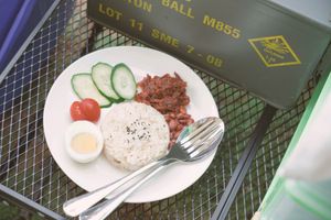 Vegetarian nasi lemak at Ethos Forest 有声林 in Bentong