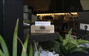   at Orinoco  in Salzburg