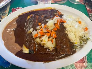 Mole enchiladas  at Tarascos in Denver