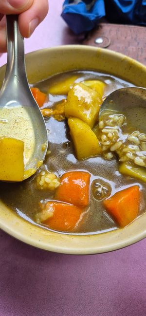 Curry at Nine Six Vegetarian Square - 九六素食坊 in Taipei