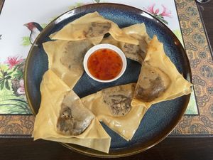 Vegan Wan Tan - crispy and delicious   at Asia Nativ in Hannover