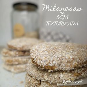 Milanesas de soja texturizada at Cosmo Vegan in Torremolinos
