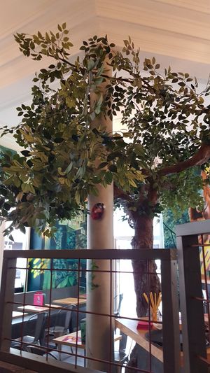  at Urban Gorillas - Vegan Revolution in Dusseldorf