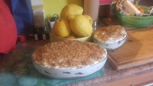 Lemon and red fruits dessert at Karen's Kitchen Troviscais Odemira in Troviscais