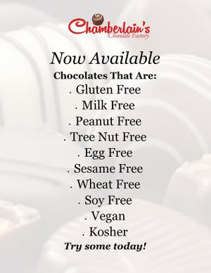 Lots of vegan chocolate options  at Chamberlains Chocolate Factory and Cafe in Roswell